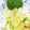 ★むさ's cooksnap of when they made きゅうりとちくわの超簡単マリネ.