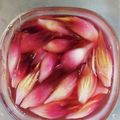 河津桜's cooksnap of when they made かんたん酢でミョウガの甘酢漬け.
