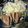 bamboo8810's cooksnap of when they made 豚肩ロースブロックで焼豚！煮豚！＋煮卵！.