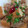 Yuuko7i's cooksnap of when they made 厚揚げのそぼろ煮.