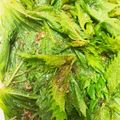ぽぽりん's cooksnap of when they made ばあちゃん直伝！大葉の胡麻醤油漬け.