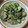 みょんとも3's cooksnap of when they made 簡単すぎる☆きゅうりの味噌ごま和え.