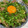 まかおん☆えま☆彡's cooksnap of when they made ネギもり激しく簡単牛丼.