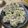 おおた家の食卓's cooksnap of when they made １位☆お店に負けないカニシューマイ.
