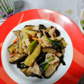 クック22R4QK☆'s cooksnap of when they made 豚肉と茄子のオイスターソース炒め.