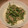 料理初心者imsk's cooksnap of when they made もやしと豆苗のツナマヨ和え.