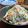 そろそろねんね's cooksnap of when they made 青梗菜(チンゲンサイ)カニカマの中華和え.