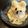 いるかくゆら's cooksnap of when they made 【甘さも調整できる!】手作りバニラアイス.