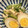 いるかくゆら's cooksnap of when they made 美味しいささみときゅうりの中華和え.