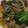 ヨシヨッシー's cooksnap of when they made 牛肉とレタスのオイスター炒め.