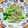 クックY08S17☆'s cooksnap of when they made おつまみに最高！ししとうのじゃこ炒め.