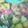 瞬火兄上's cooksnap of when they made 白菜ときゅうりと大根の漬け物.