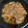 kabocha☆ひろ's cooksnap of when they made 簡単！すき焼き風丼どん.