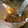 海ちゃん大好き♡'s cooksnap of when they made 棒々鶏のタレ.