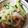 クックIOSMT7☆'s cooksnap of when they made もやしのあっさりたぬきサラダ♪.