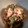 manami119's cooksnap of when they made ゴーヤの梅かつお和え.