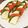 ハッピーまるしぇ's cooksnap of when they made トマトのカプレーゼ.