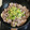 haruru2011's cooksnap of when they made ネギの青いとこダケで・・ネギ塩ダレ.