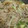 あゆたっくん's cooksnap of when they made 豚肩ロースともやしの炒めもの.