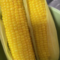クックmichi☆♪'s cooksnap of when they made 【塩無し】基本のとうもろこしの茹で方.