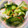 ♡KMS♡'s cooksnap of when they made 失敗しない浅漬け.