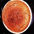 らびのゆうママ's cooksnap of when they made 水切り無しで簡単♪ヨーグルトココアケーキ.