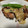 うめまみ's cooksnap of when they made 簡単★鶏もも肉のマヨマスタード.