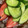 ちゃぎー's cooksnap of when they made トマトときゅうりのマリネ風サラダ♪.