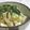 umemodoki's cooksnap of when they made 冷や奴.