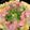 あい♪らんど's cooksnap of when they made アボカド☆ネギトロ丼.