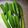 クックQIK67P☆'s cooksnap of when they made オクラの冷凍保存.