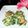 ladyoscar's cooksnap of when they made 簡単★海老とニラの小判焼き.