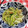 ♡crew♡'s cooksnap of when they made 中華風　梅と鶏胸肉のしゃきしゃきサラダ　.