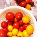 ずぼら伝説's cooksnap of when they made トマトの冷凍保存〜大量消費〜.