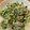 ちはるき27's cooksnap of when they made もやしときゅうりのさっぱりサラダ.
