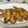 ナピト's cooksnap of when they made 大根と鶏手羽先の煮物.