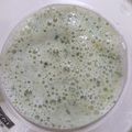 ヒヨコマメ☆'s cooksnap of when they made 豆乳+メロン+バナナのスムージー.