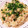 9b_pencil's cooksnap of when they made バターが香るなめ茸と鮭の炊き込みご飯.