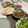 クック3KZFQ2☆'s cooksnap of when they made 【簡単・本格】メキシカン♩タコスミート.