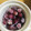 ちーずけぇき☆'s cooksnap of when they made 農家直伝！デラウェアの完璧保存！.