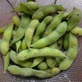 クックJOEさん's cooksnap of when they made 枝豆の茹で方.