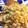 クックDD0A7K☆'s cooksnap of when they made 伝家の宝刀！ウチの簡単絶品おから煮.