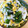 かわゆう1211's cooksnap of when they made ワカメと新玉ねぎのおかずサラダ.