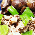 earth。's cooksnap of when they made なすと豚肉のさっと煮.