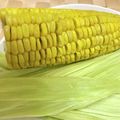 Susie845's cooksnap of when they made レンジでラップなし！とうもろこしのゆで方.