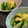 ＃Yuzu＃'s cooksnap of when they made 簡単♪小松菜と玉子のオイスターソース炒め.