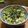cco83901's cooksnap of when they made 豆腐とアボカドのサラダ丼.