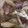 クック8W4H9J☆'s cooksnap of when they made 茗荷のさっぱり甘酢漬け.