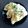 ひさかた's cooksnap of when they made Perogies *ピローギ*.