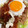 ももわり's cooksnap of when they made 【学校給食】タコライス.